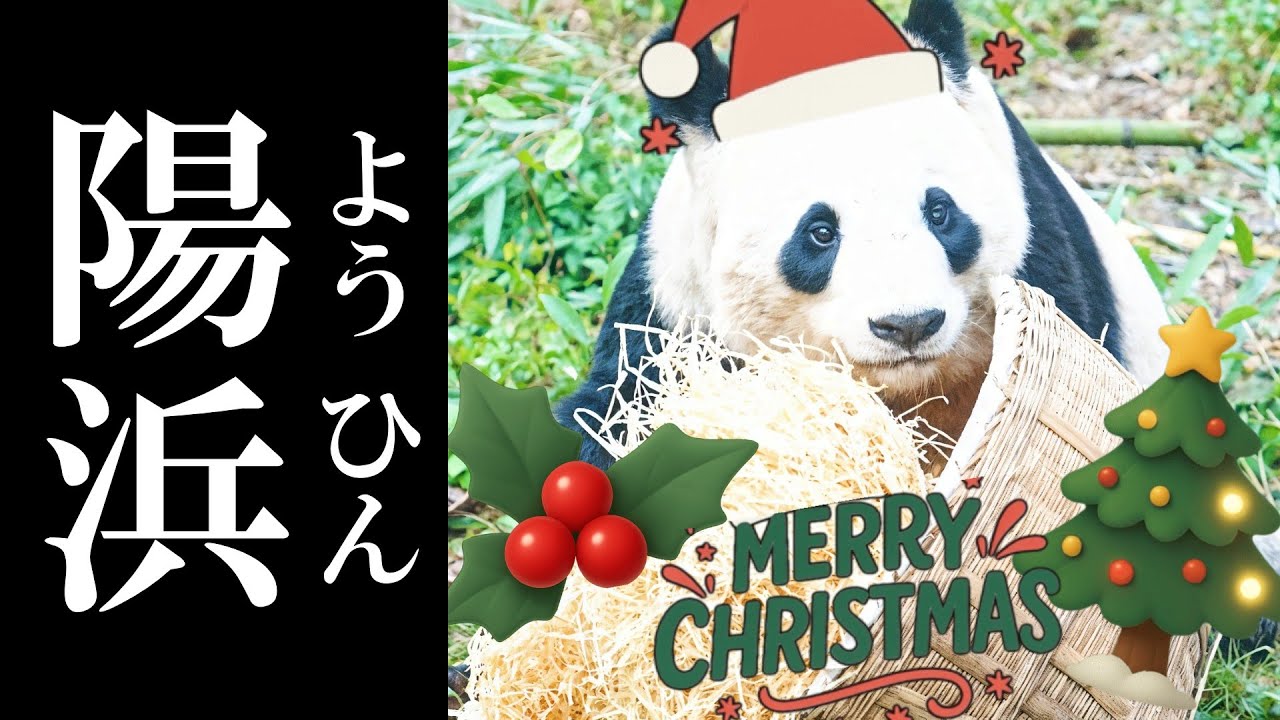 クリスマスプレゼント🎁に大喜びする『陽浜ちゃん』が可愛すぎた✨