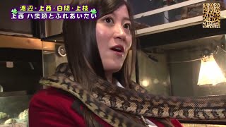 上西恵とハ虫類「動物とふれあいたい」#4 YNN