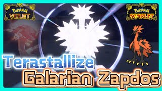 Terastallize Galarian Zapdos VS Shiny Galarian Zapdos | Pokemon Scarlet & Violet | Legendary Pokemon