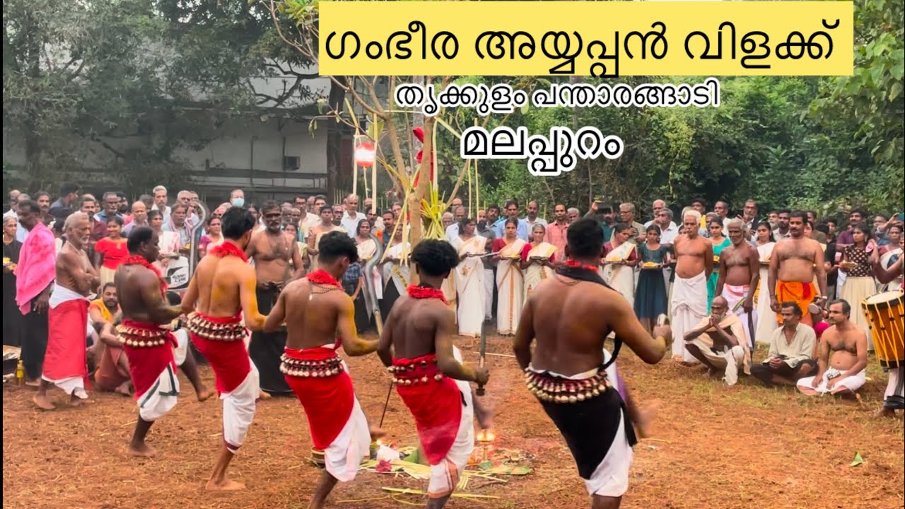 അയ്യപ്പൻ വിളക്ക്  2024 | തൃക്കുളം പന്താരങ്ങാടി | മലപ്പുറം | #ayyappan #viralvideo #malayalam