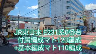 JR東日本 E231系マト123+110編成【20240425】