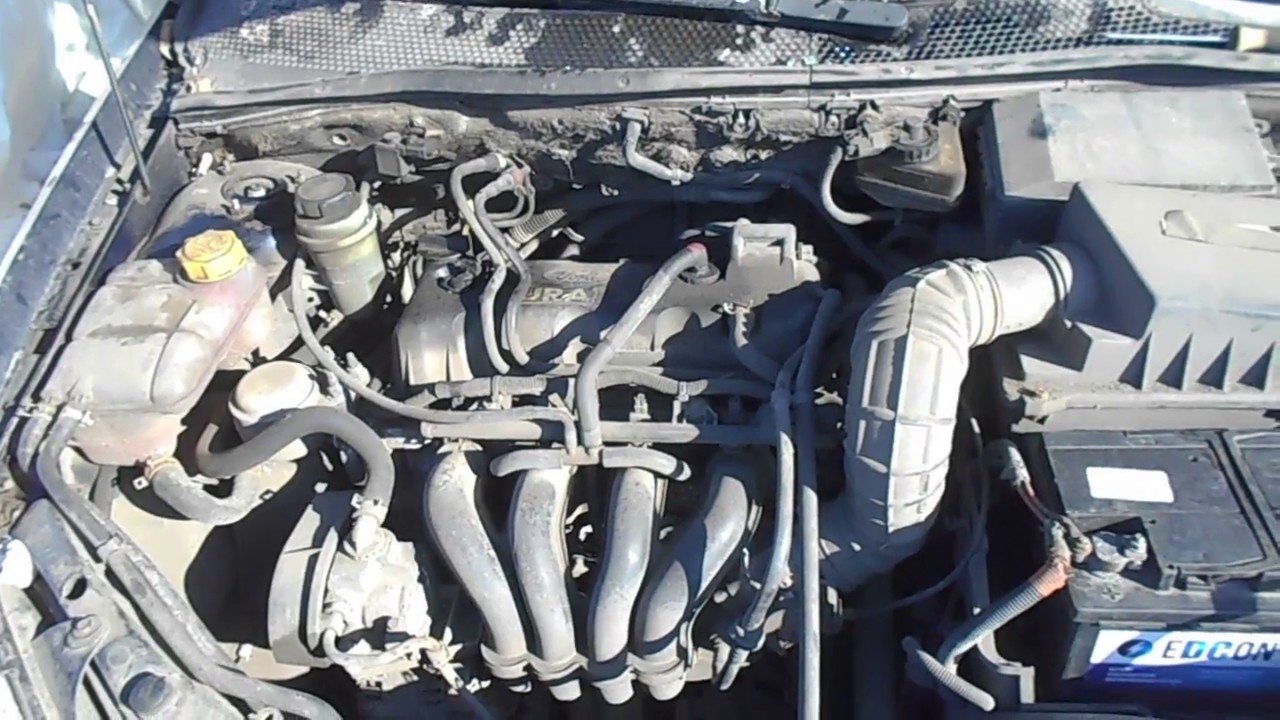 Ремонт двигателя фокус 1.6. Двигатель Ford Duratec 1.6. Форд фокус 1 1.6 Duratec 97 л.с. Двигатель CDDA 1.6 Форд фокус 1. Двигатель фокус 1 1.6.