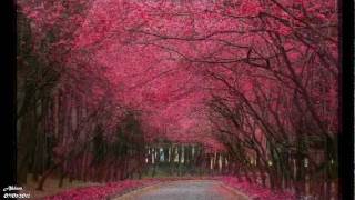Antonio Vivaldi -Four Seasons - Ahlem أحلام