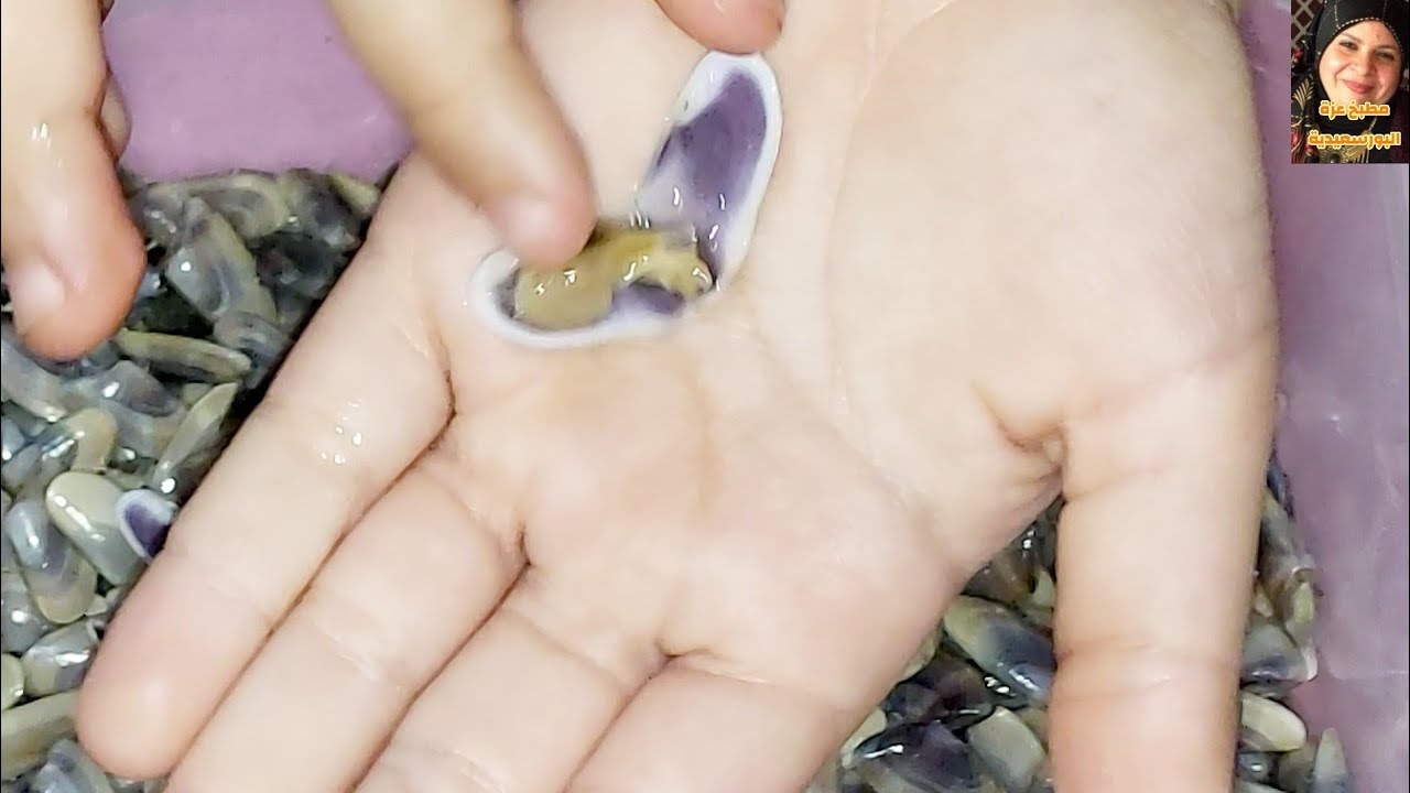 طريقة تمليح ام الخلول