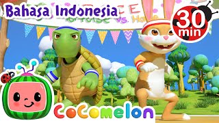 Kura-kura dan Kelinci | CoComelon Bahasa Indonesia - Lagu Anak Anak | Cerita Klasik Anak Indonesia