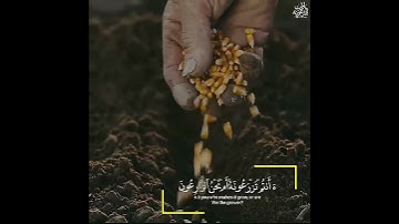 تلاوة خاشعه بصوت جميل - حالات واتس اب دينية