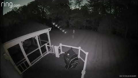 Mysterious row of orbs caught on homeowner’s security camera in Prince George
