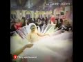 يخرب زوقا نمروده