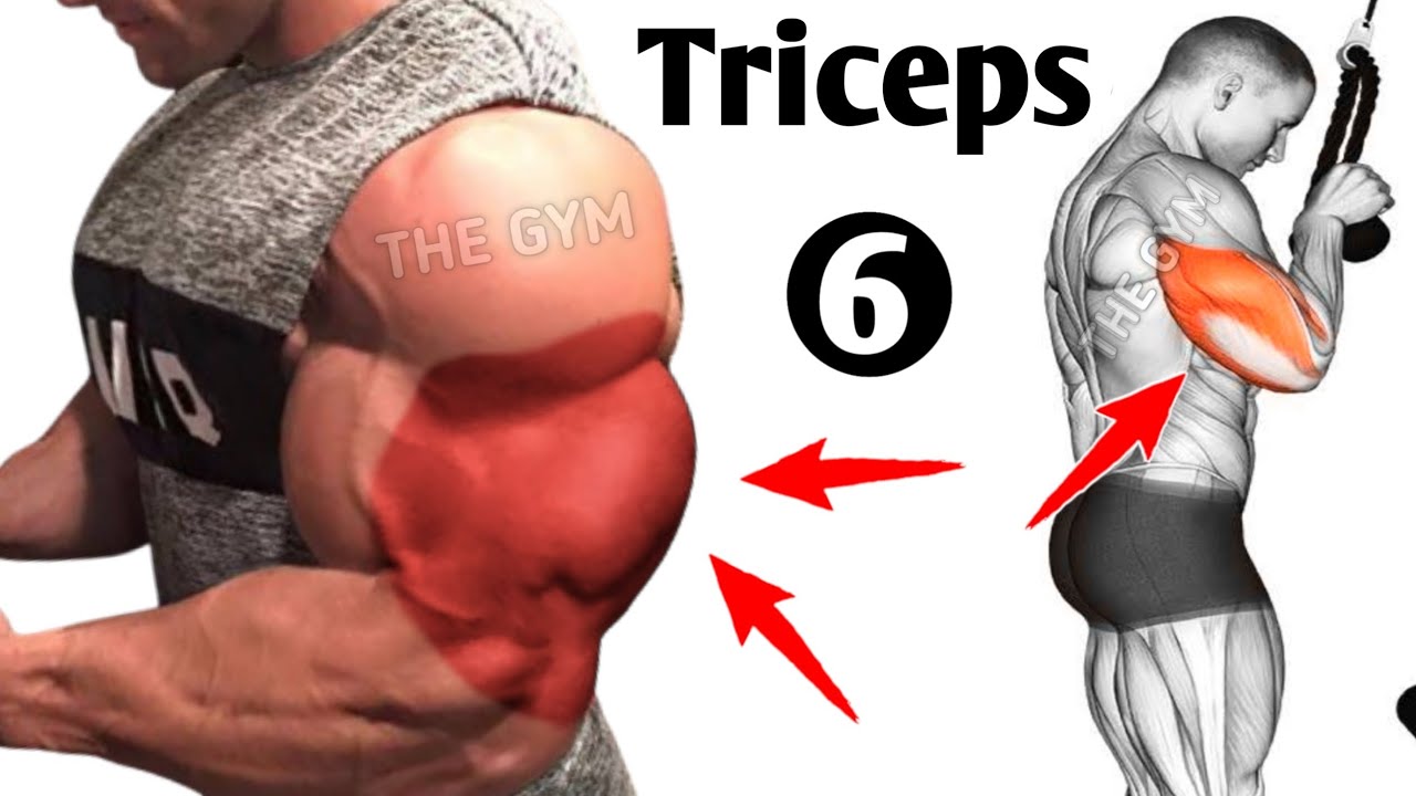 6 Best Triceps Exercises for Bigger Arms (Fastest Muscle Growth) - YouTube