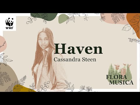 Haven Die WWF Waldhymne Von Cassandra Steen 