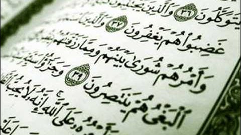 سورة الشورى  sorat al-shoora  -  وليد النائحي
