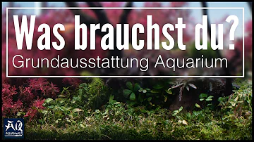 Wie beginne ich ein Aquarium?