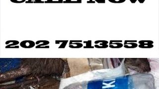 Best Pest Control Near Me Wisconsin WI