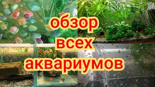 Подробный обзор аквариумов с рыбками и растениями