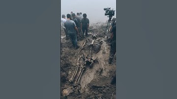 Colossal Skeleton Found Buried Beneath Amazon Riverbank
