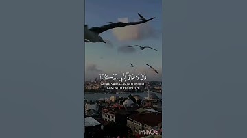 تلاوة هادئة تريح الاعصاب 💚#قران_كريم #قرآن #راحة_نفسية