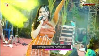 PEMUDA IRSET IKATAN REMAJA SIGEDANG TIMUR KAB PEMALANG - PUJI MAHARANI - BOJO BIDUAN - LENTERA PKL