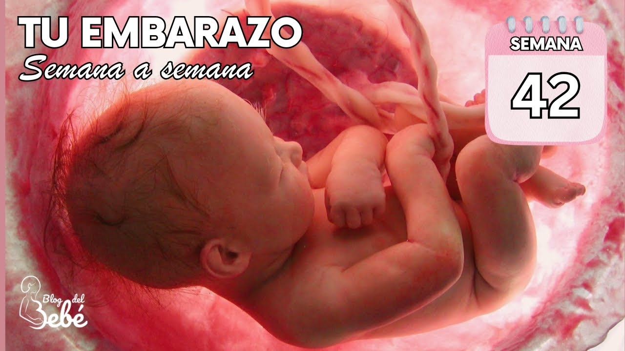 ️ Semana 42 de embarazo 🤰 Síntomas, consejos y desarrollo del bebé | El ...