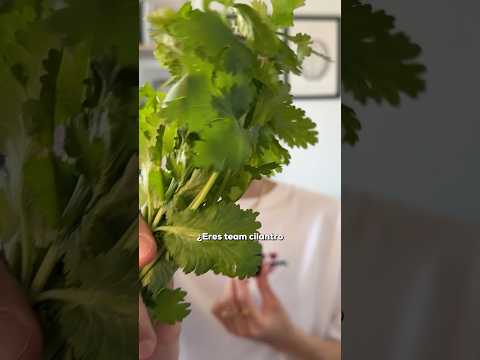 ¿Por qué el cilantro te sabe a jabón?