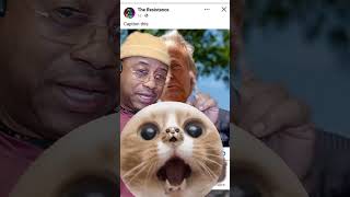 Will the real DT please stand up? #comedy #don