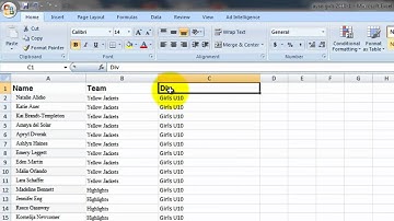 Corel Print Merge - Preparing Excel Text file