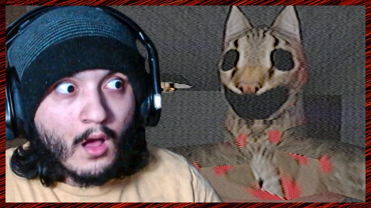 A Very Hungry Cat And A Strange Signal... [ 2 SCARY GAMES ]