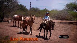 275 Agrupación Gaucha Los Reseros (San Luis) - Estancias y Tradiciones