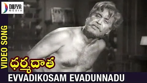 Dharma Daata Telugu Movie | Evvadikosam Evadunnadu Video Song | ANR | Kanchana | Divya Media