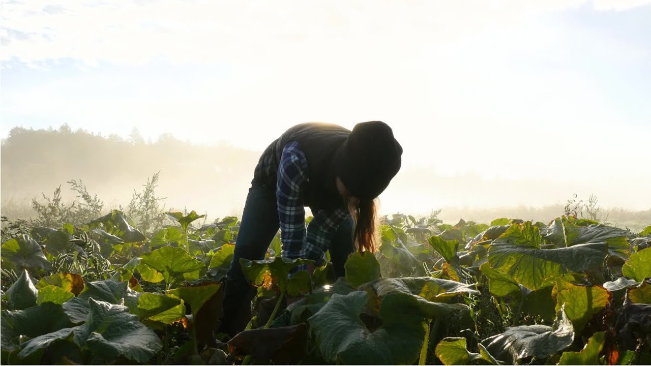 Agriculture Food And Natural Resources Careers Career Cluster 