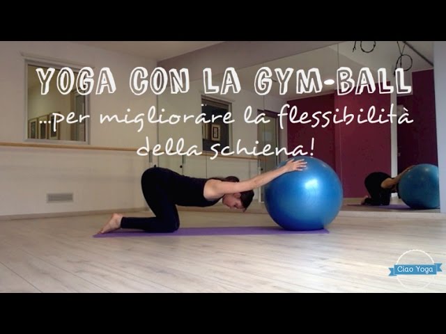 Palla da Ginnastica/Palla Yoga/Palla Fitness/Fitball per Fitness/Yoga/Pilates/Palestra/Esercizi di Equilibrio/Allenamento Nimokong Palla Fitness con Pompa 