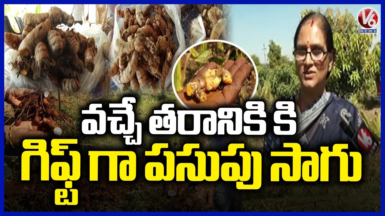 Farmer Kavitha Cultivating 11 Varieties of Turmeric in Telangana  V6 News