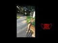 20171010 - Luna Boarding with Mini Training - Day 14/16 20171010 - Luna Boarding with Mini Training - Day 14/16