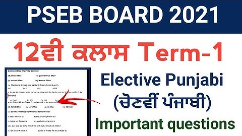 PSEB 12th class Elective Punjabi term -1 paper 2021 / PSEB 12th class elective Punjabi paper 2021