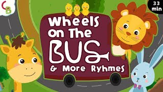 Wheels On The Bus Plus Many More Nursery Rhymes| Popular Rhymes Collection for Kids| Cuddle Berries