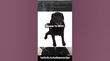 Are You Smart or Smert? #smart #programming #wordpress #codeing #gamedev #twitch #metal