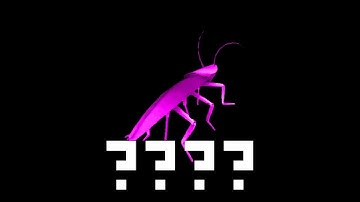 10 Variations of Dancing Roach in 65 Seconds (Retro Viper