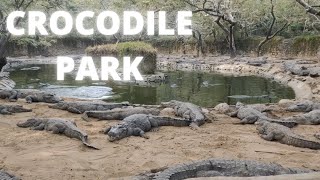 Crocodile Park Chennai | The Madras Crocodile Bank Trust | Places to Visit in Chennai|Crocodile Park
