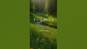 يوم تُنطق الجلود | تلاوة خاشعة للشيخ عبد الباسط