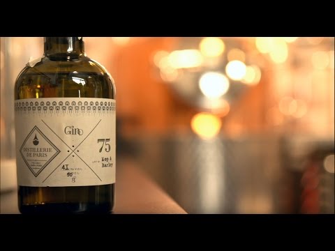 Vidéo: Une Brève Histoire Du Gin