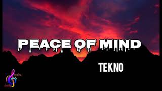 Tekno - Peace of Mind Official Lyrics