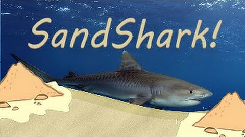 Hunting down the SandShark!