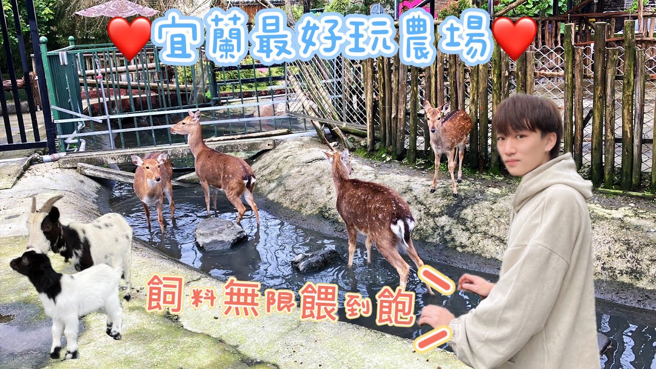 【宜蘭推到爆農場】門票含飼料牧草無限餵！動物親人到還會撒嬌‼️
