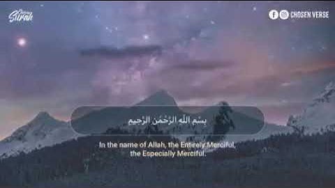 سورة القلم محمد هشام كمال