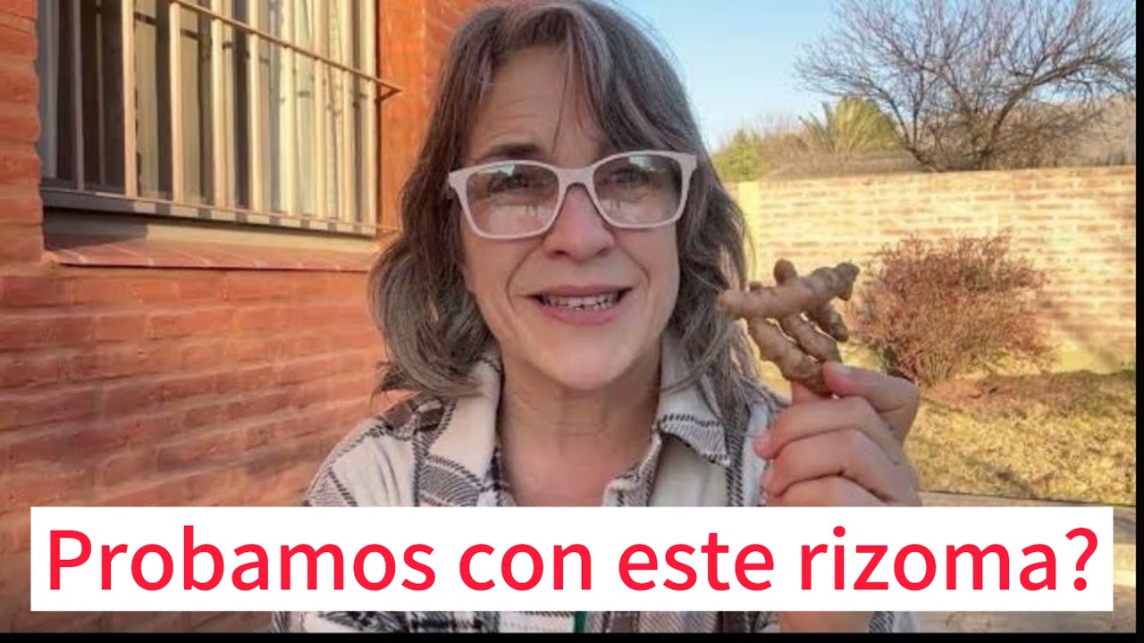 Una genialidad para nuestras plantas? Investiguemos a la Curcuma