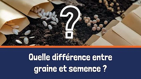 Quelle est la durée moyenne de levée des semences