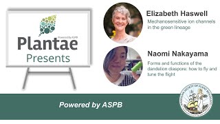 Plantae Presents - Elizabeth Haswell and Naomi Nakayama
