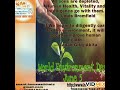 world environment day 2021