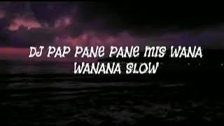DJ PAP PANE PANE MIS WANA WANANA SLOW VIRAL TIKTOK 🎶