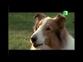 MBC3 PROSO RAMADAN SEPTEMBER 2006 LASSIE 1997 THE REMEMBER 2000S