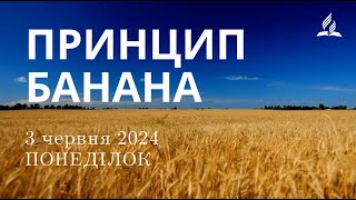 Ранкові Читання - 3/06/2024